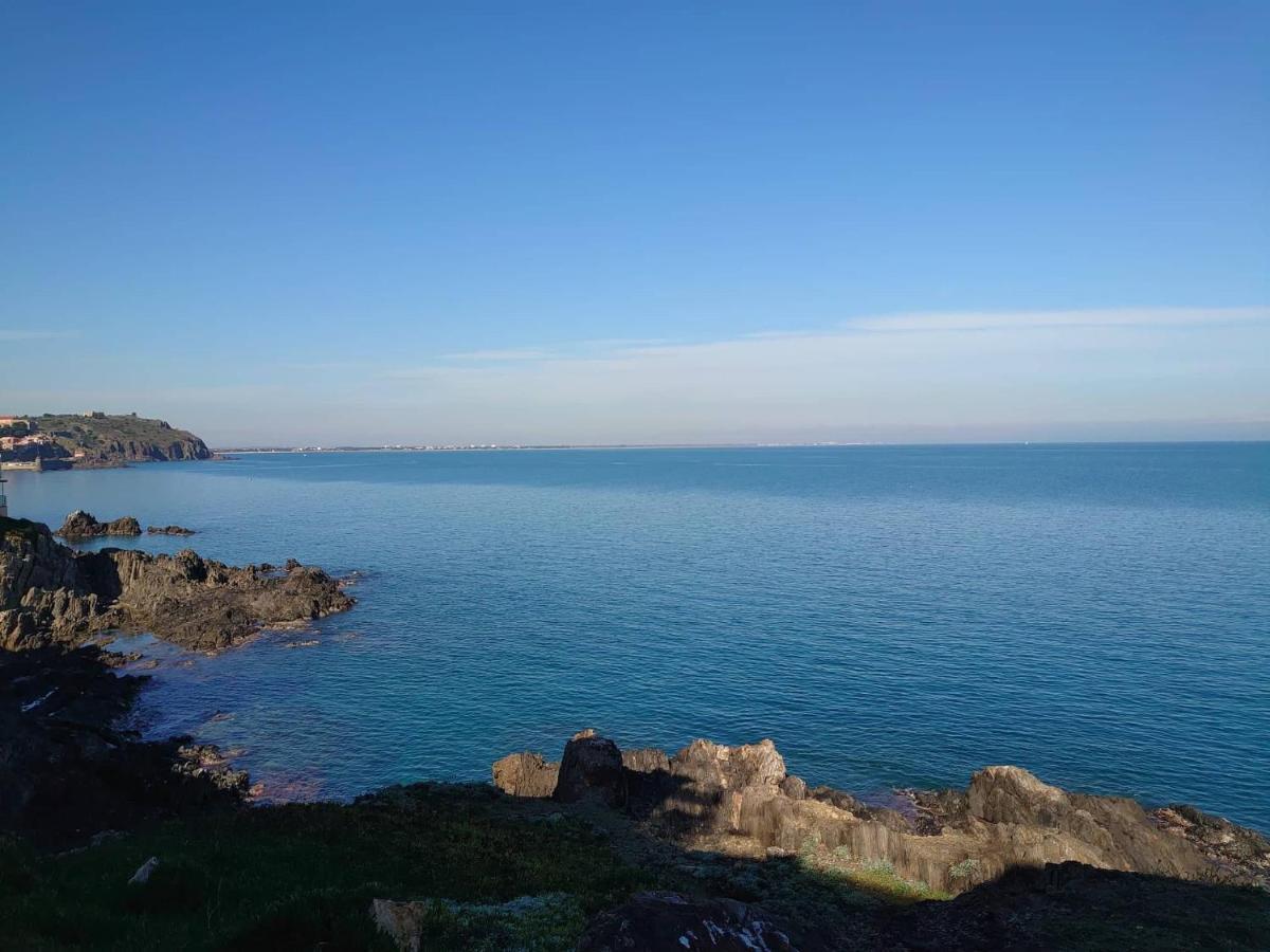 4Rb4 Appartement Type T2 Bord De Mer Acces Plage Direct Collioure Exterior photo