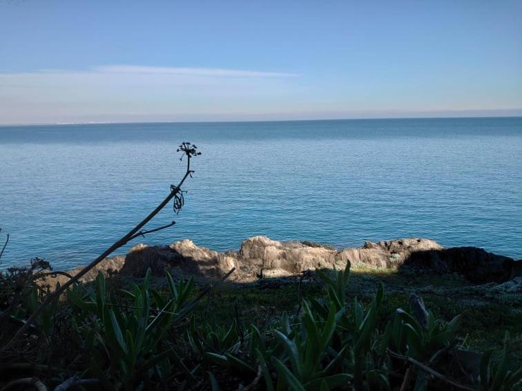 4Rb4 Appartement Type T2 Bord De Mer Acces Plage Direct Collioure Exterior photo